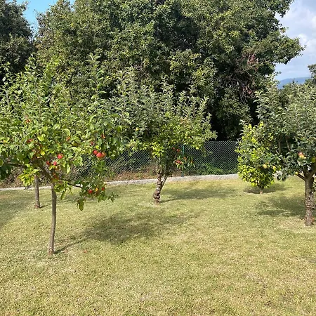 Con Vistas Al Mar Sanxenxo